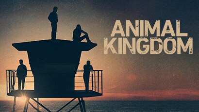 Animal Kingdom Tntdrama Com