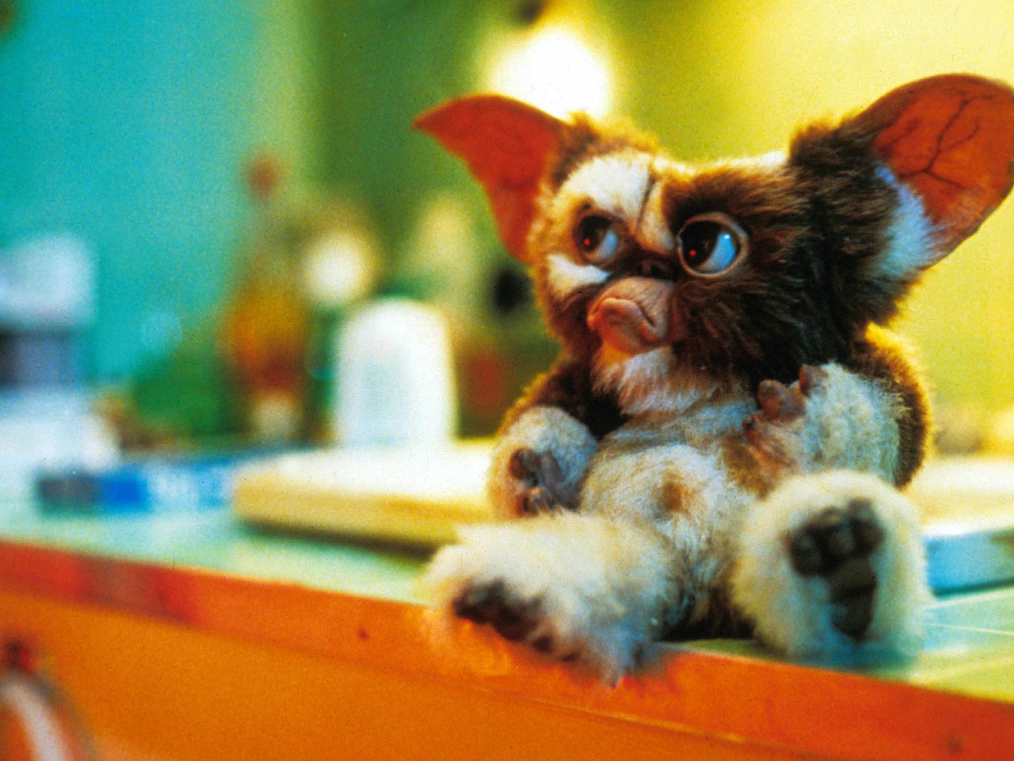 Gremlins Tntdrama Com Gremlins Tntdrama Com