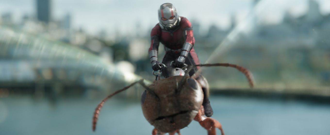 Ant-Man and the Wasp