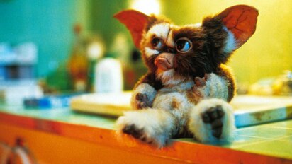 Gremlins Tntdrama Com Gremlins Tntdrama Com